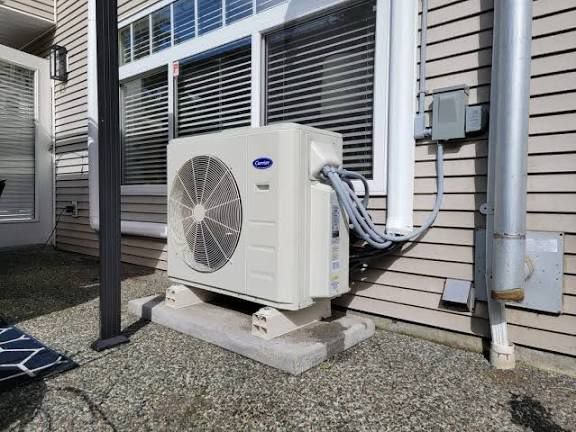 WhatsApp Image 2025-10-25 at 11.24.51_c74d8b70