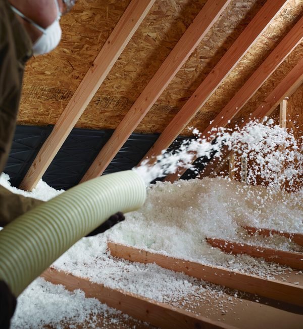 Pic-10-Blow-In-1500x1000